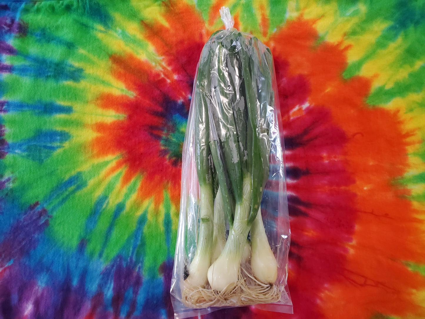 Yellow Green Onions