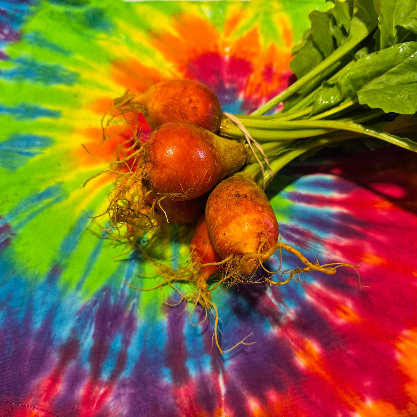 Golden Beets
