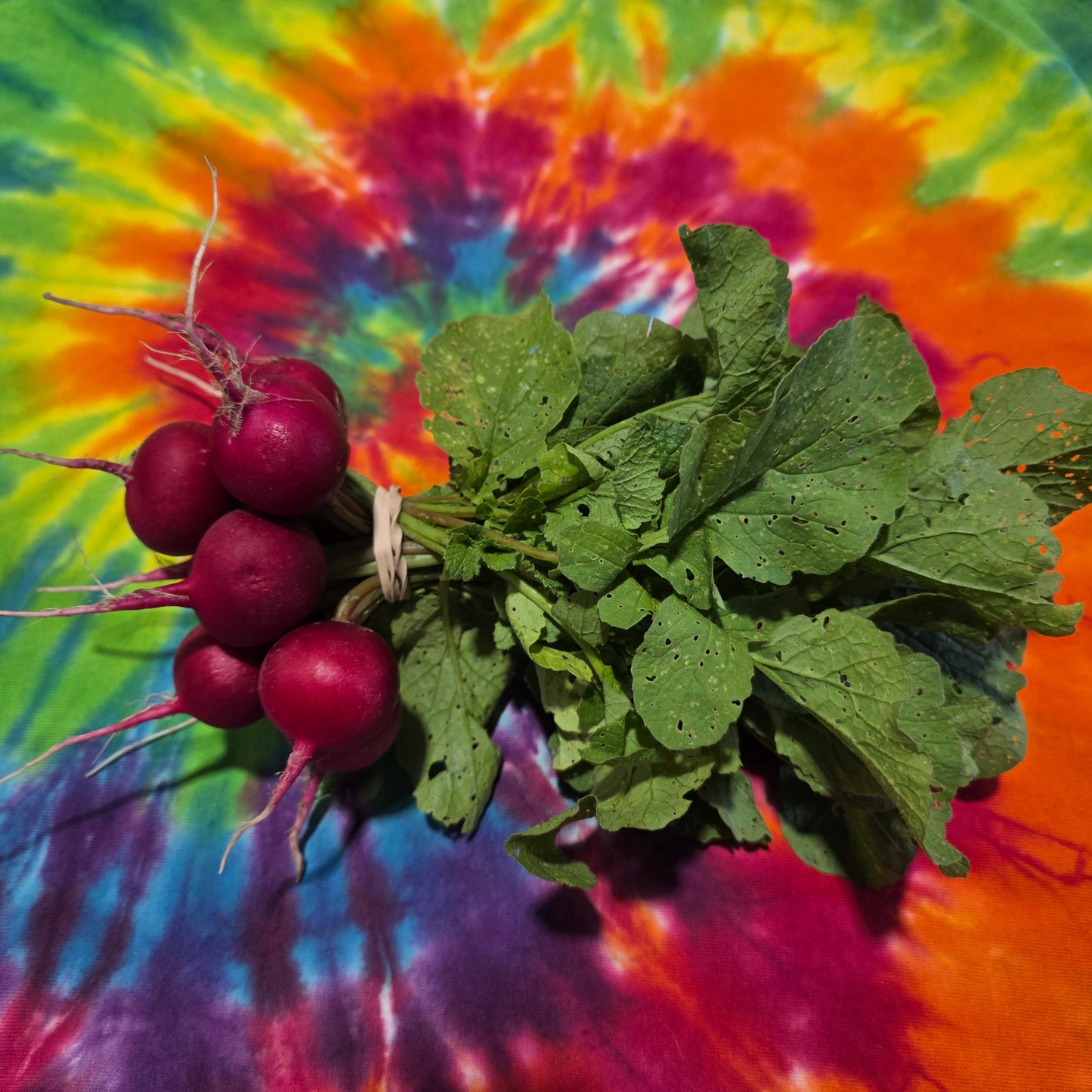 Red Globe Radish