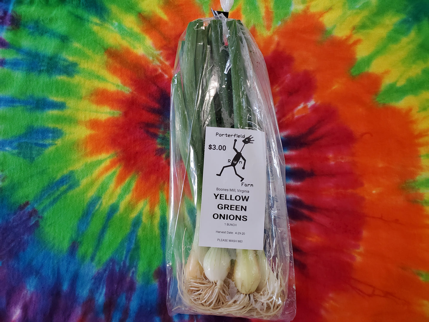 Yellow Green Onions