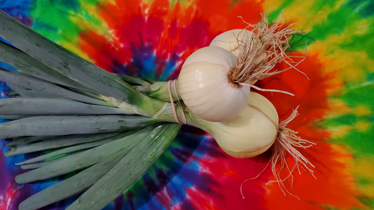 Talon Onions
