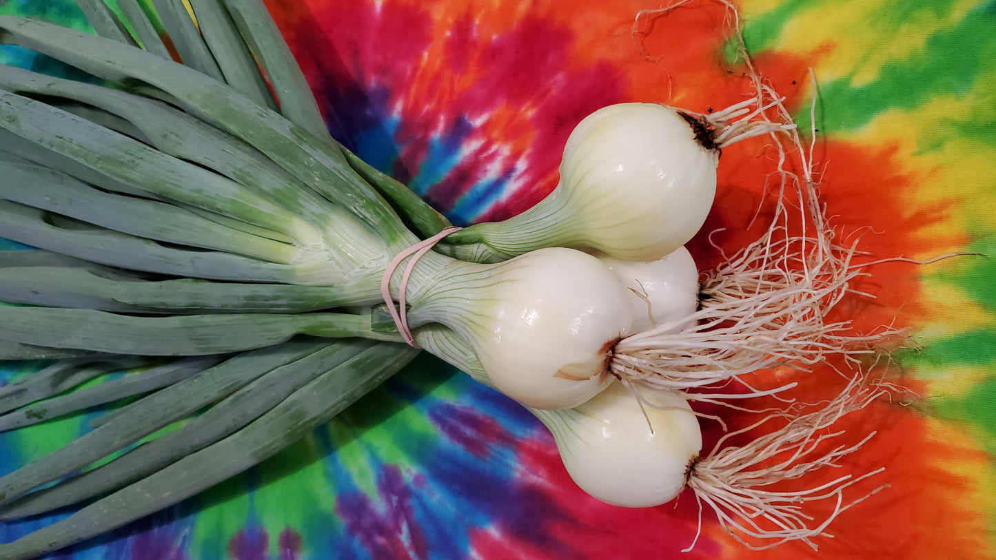 Talon Onions