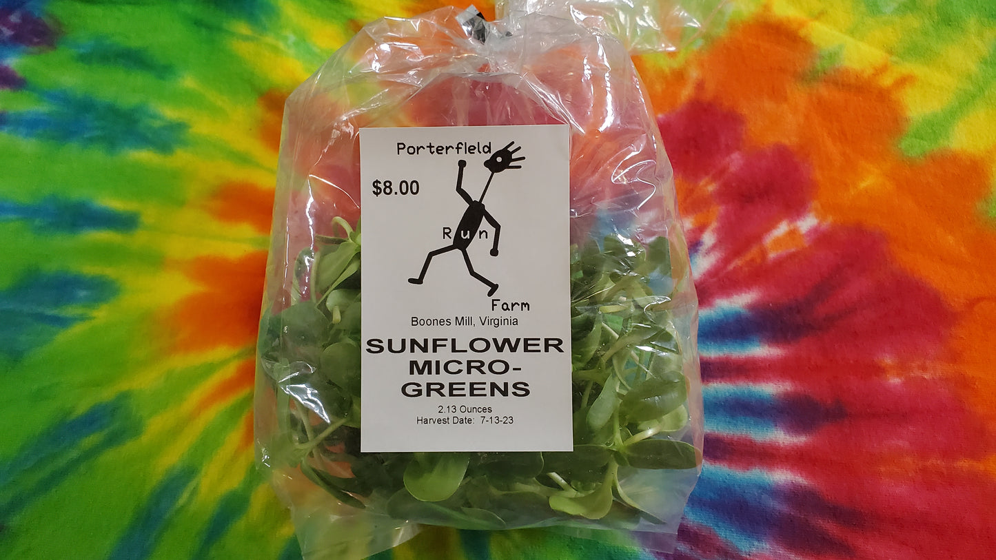 Sunflower Microgreens