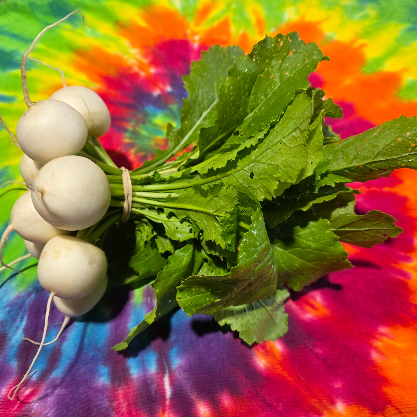 Hakurei Turnips