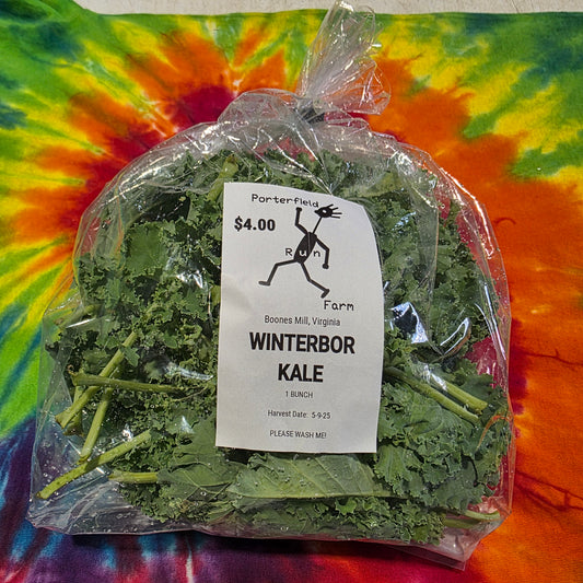 Winterbor Kale