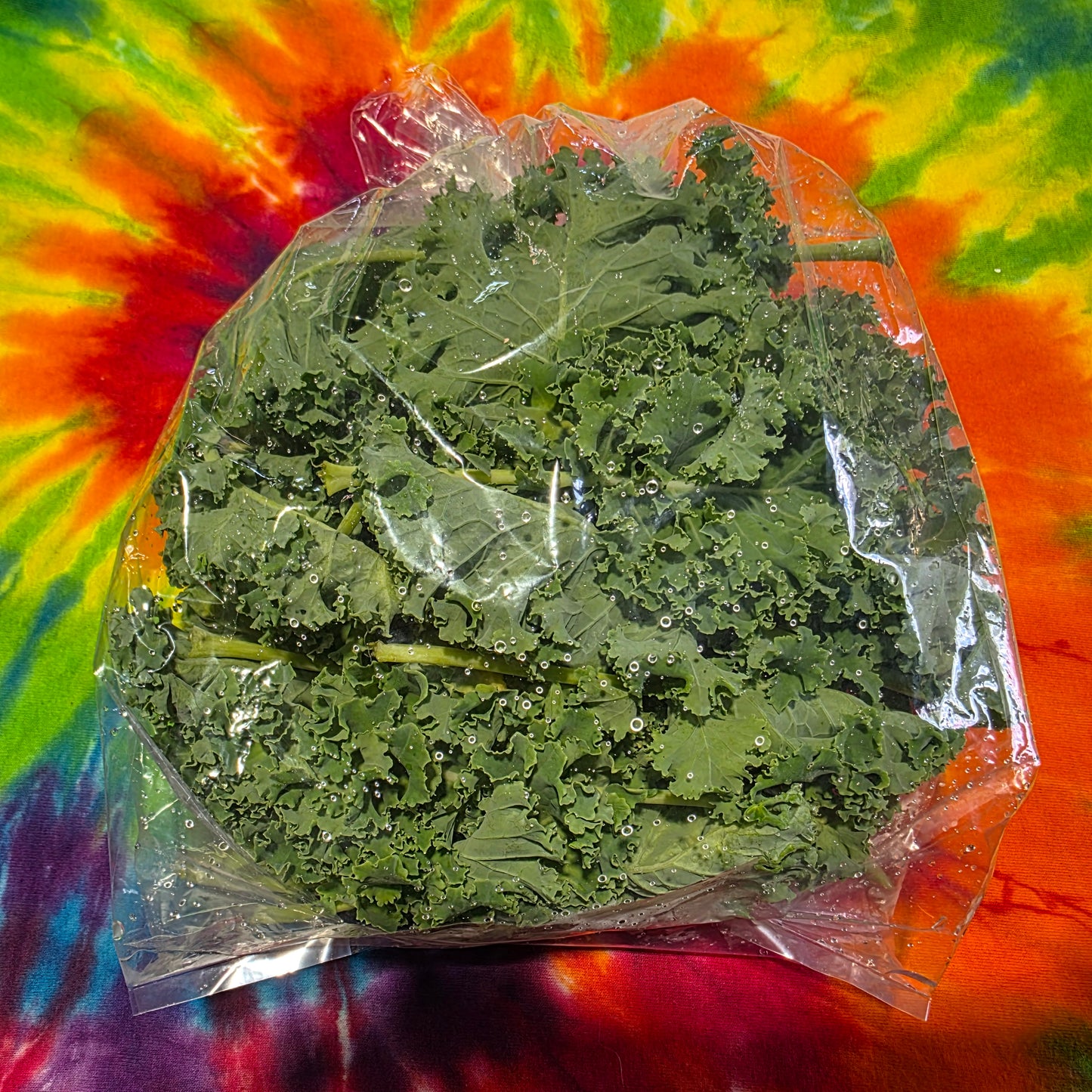 Winterbor Kale
