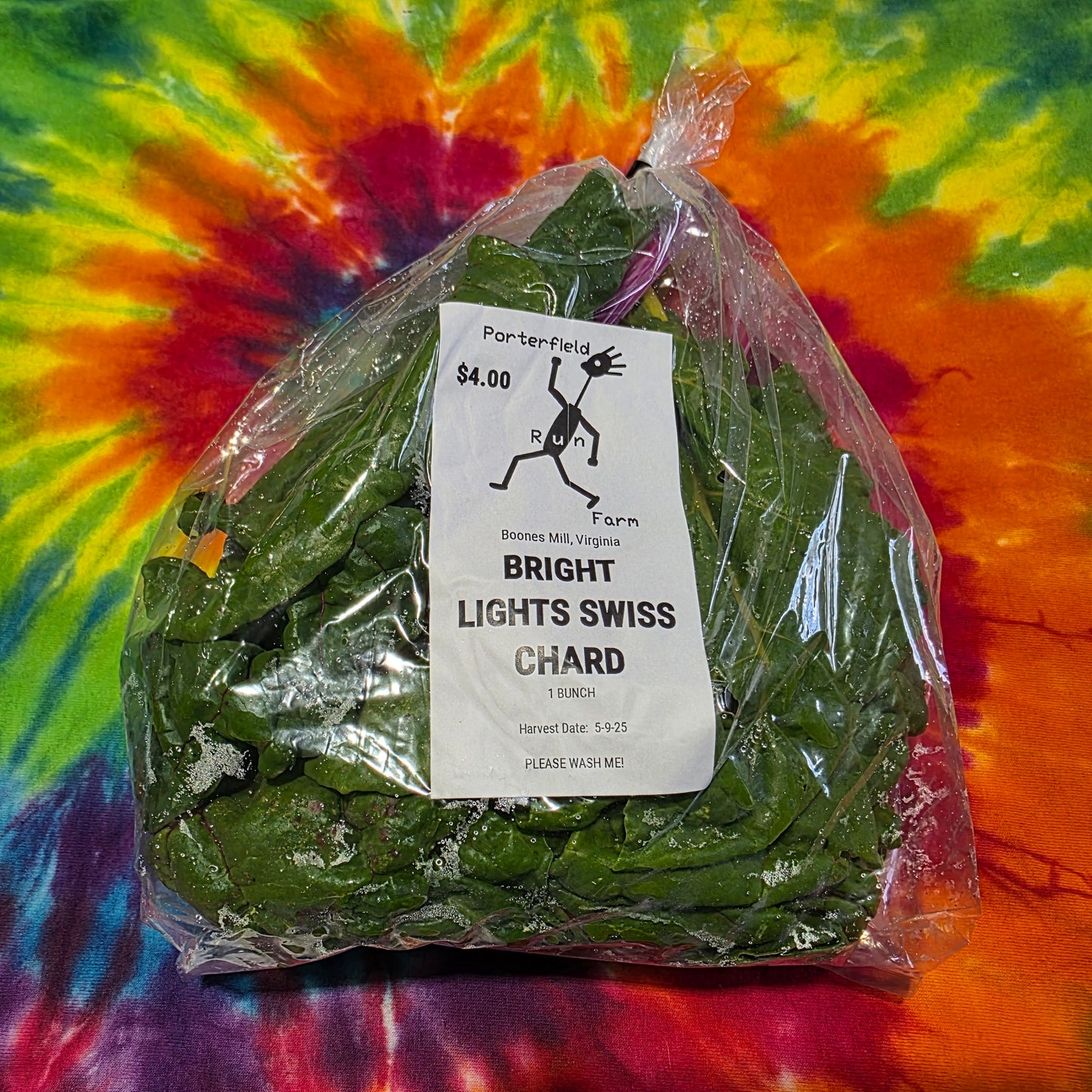 Bright Lights Swiss Chard