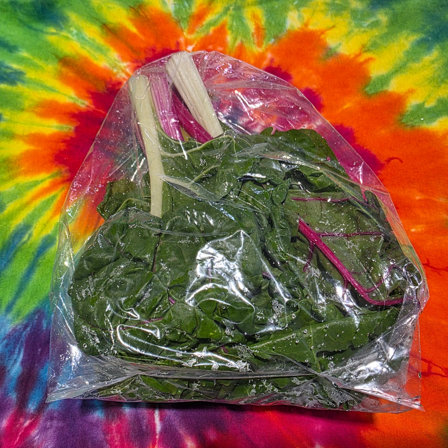 Bright Lights Swiss Chard