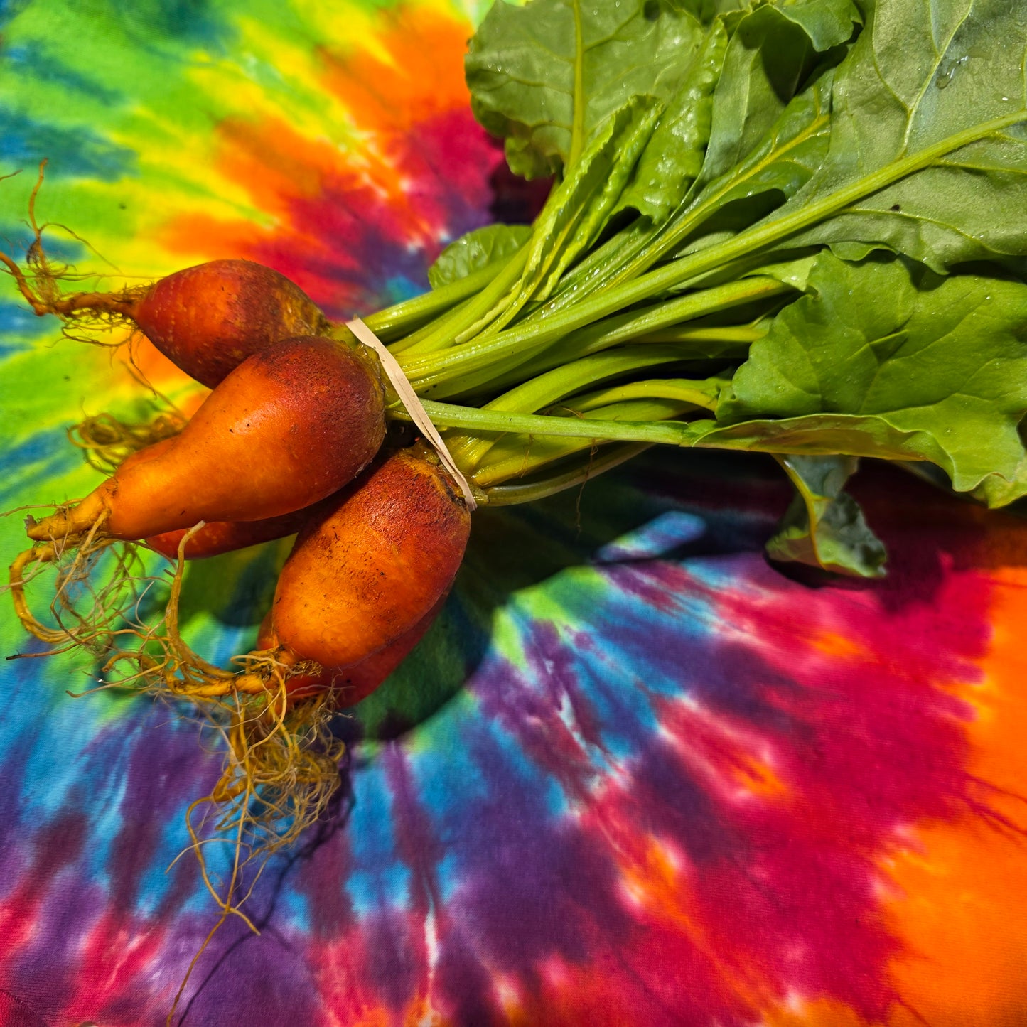 Golden Beets